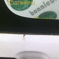 75238400-32f0f4b7-87fe-40c9-b135-1d50f33bf892-Piece-75238400-Porte-arriere-droit-770044H100-HYUNDAI-H1-2-STAREX-25-CRDI-16V-TURBO-91ddfb7af364ac8e730f64391633ca32d13c783d3333a3c464e92990f478aca0_m.jpg
