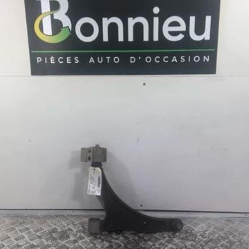 Bras inferieur avant gauche