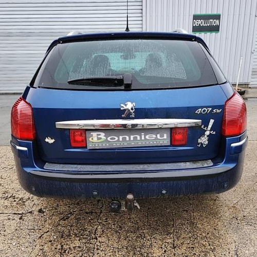 Vehicule-PEUGEOT-407-PHASE-1-BREAK-2007-b4e0c6991326cfca69e659d5d1614efc8730bc3b50e8bb5e7fdce3c8281040fa_mtn.jpg