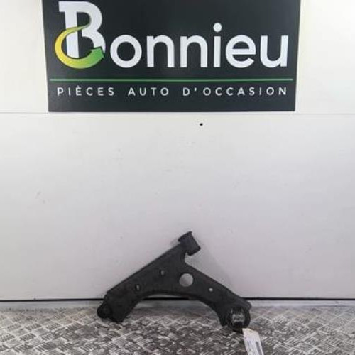 Bras inferieur avant gauche