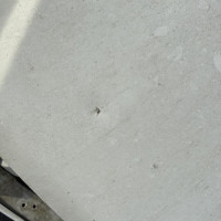 Vehicule-FIAT-IDEA%2520PHASE%25202-2009-297e127d694b0490467a635d835406c362e22aa94b47dc36ca454d2bd965eeb0_m.jpg