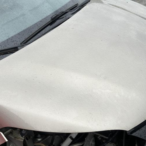 95570367-40d27adb-8068-4012-ad05-7c07f879e9cd-Piece-Capot-651004529R-RENAULT-CAPTUR-1-PHASE-1-2874baa49e4e8ff2e11396f9b8342538d94bfcd5e6aa1951866c151b42932bf2_m.jpg