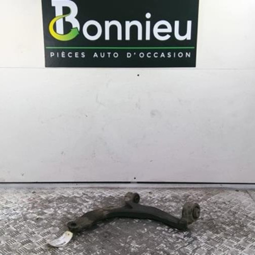 Bras inferieur avant gauche