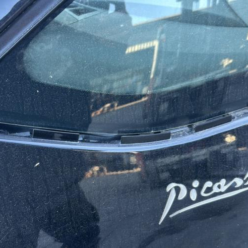 Vehicule-CITROEN-C4%2520PICASSO%25201-2008-11ea2318060e78fefd110bd1dc8f129eef038fd78f06d6d123c5289036d08734_m.jpg