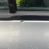 Vehicule-RENAULT-CLIO%25202%2520PHASE%25201-1999-ee30b9c16e48baf08849ba6668ab48e93e81df521c0c1e2c8aedff5cdadd53d6_m.jpg
