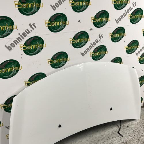 98712724-37759909-ef0c-43b5-81a8-eca0eeb40cdb-Piece-Capot-7751476113-RENAULT-CLIO-3-PHASE-2-f078f4966134fedec39558853d25ad8d0da1d5338af82fe12689bcb308f51901_m.jpg