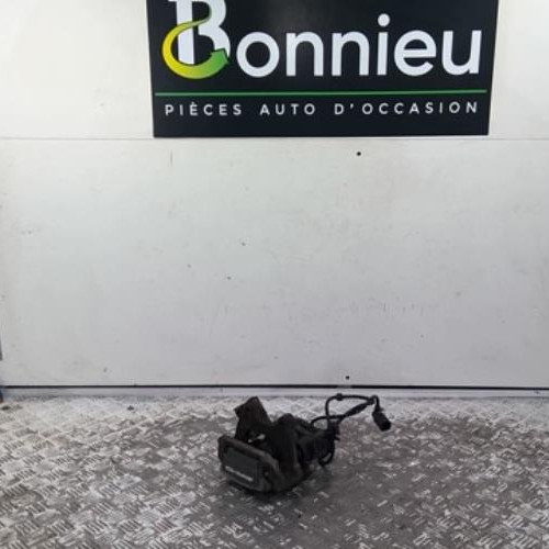 Etrier arriere gauche (freinage)